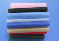 工业园区涤纶（PET）无纺布是什么